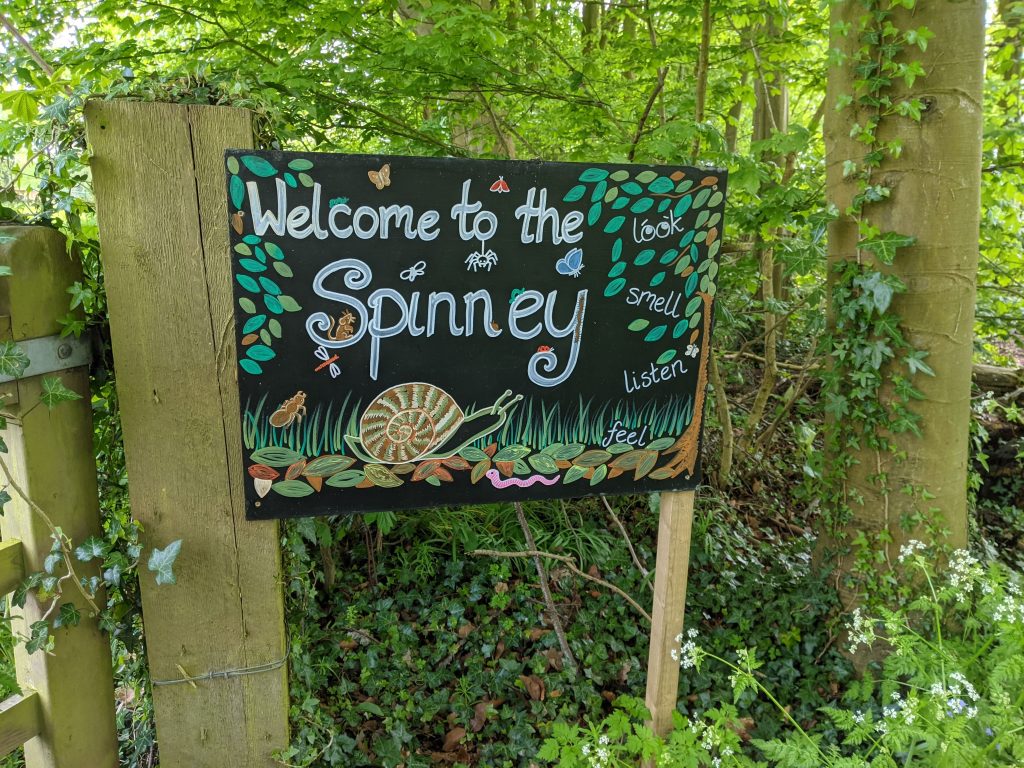 Spring Bloom and Blossom 2022