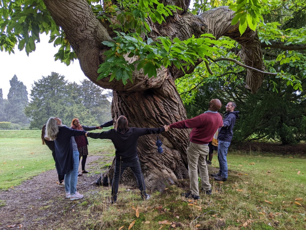Dancing under Whomping Willow's Sister