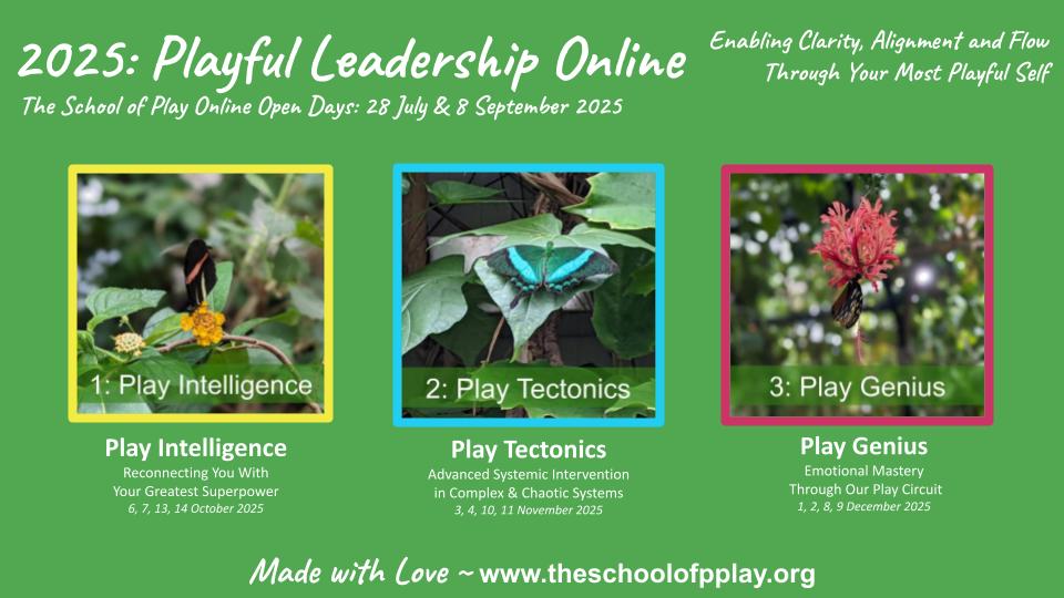 Selection of Playful Leadership programme courses